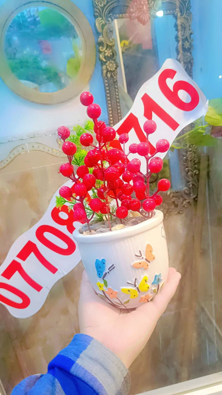 سعر 4


**إذا كنت صاحب هذا الإعلان وتريد حذفه لأي سبب، رجاءا أرسل رسالة إلى الدعم الفني**