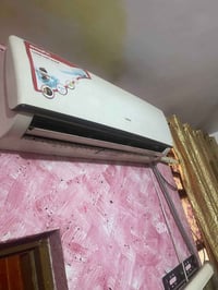 سبلت • شغال • للبيع