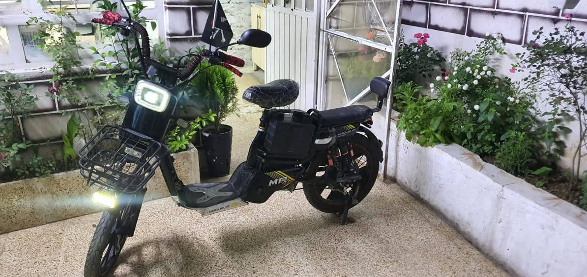 ماطور شحن نظيف السعر 250 بي مجال
اتصال على هذا الرقم ***********/***********
