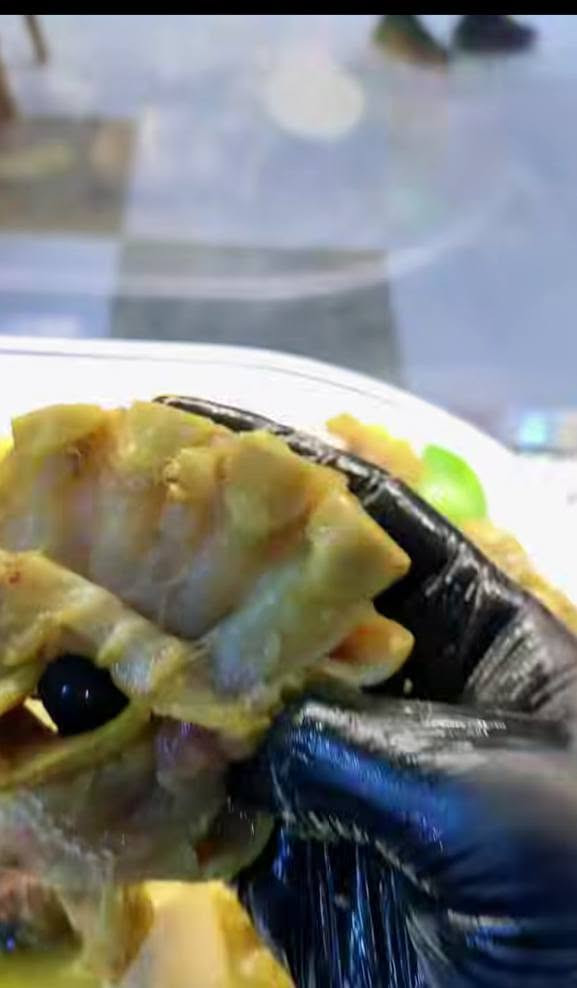 السلام عليكم غدا إن شاء جمعه متوفر للغداء تشريب الرچلين والكرشه ولبن العرب بليمون ،،🤤للحجز خاص متوفر توصيل 😋


**إذا كنت صاحب هذا الإعلان وتريد حذفه لأي سبب، رجاءا أرسل رسالة إلى الدعم الفني**