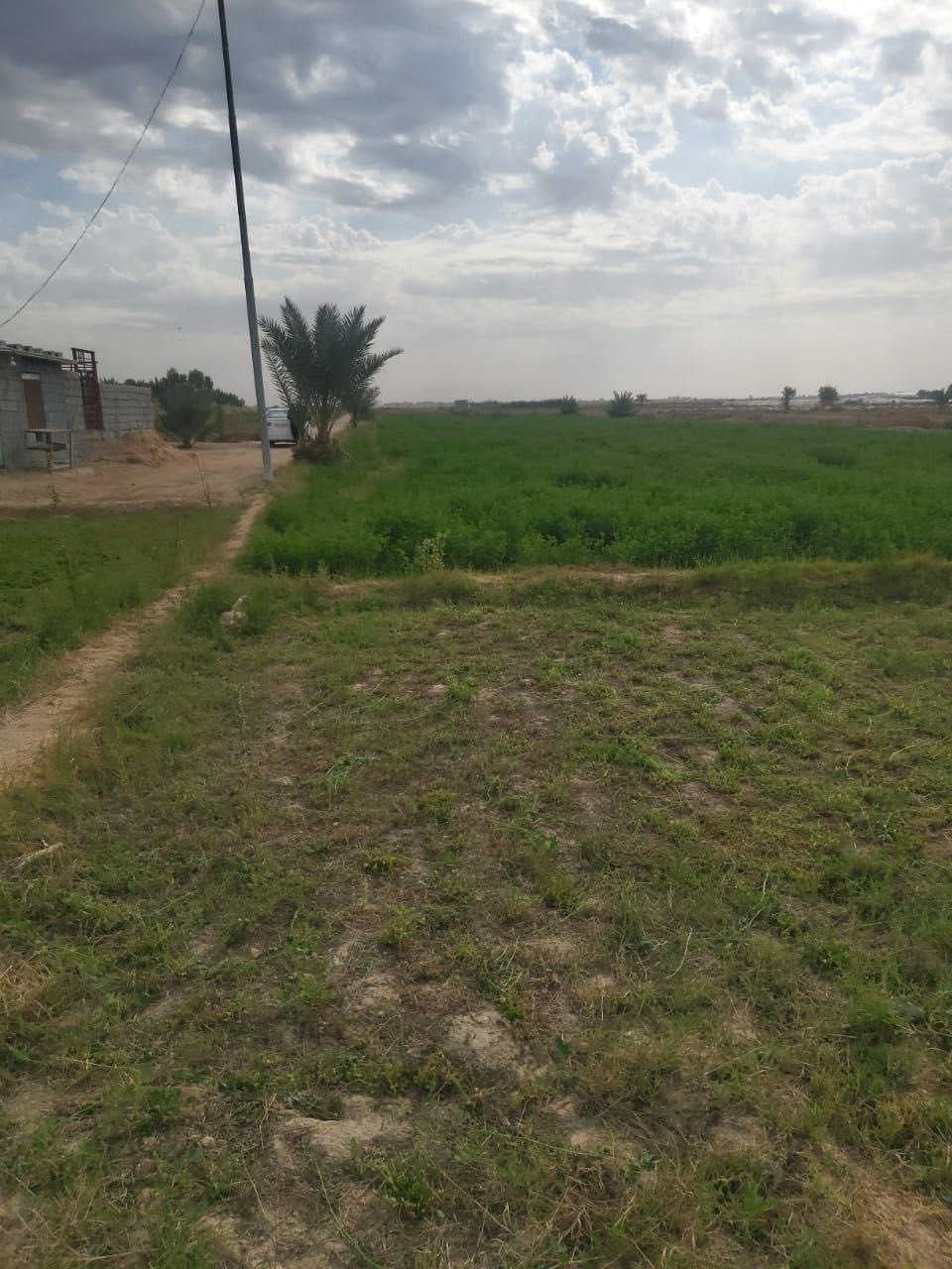 ارض. عقد 35 تبعد عن كربلاء نص ساعه. خمسه دوانم ونص***********
