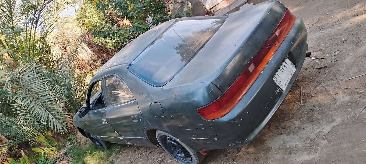 سلام عليكم شيزر نفخ مكفوله من كص ومداور ثاني يوم مكينه كير  جدد سنويه صاقطه مكاني نجف سعر 32عوزها شويه ترتيب تواصل ***********او مراوس
