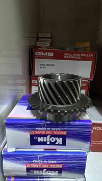 دشلي كير • كير خامس • ٢٠ سن