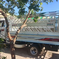 شاحنة • فحل • كركوك