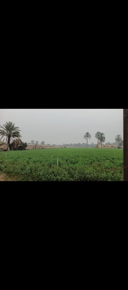 يا الله سلام عليكم 5دونم طابو صرف
بسند مستقل 5دونم للبيع طابو صرف
خدمات كامله ماء كهرباء تبليط ماء سقي 
العنوان المدائن منطقة اتويثه الاستفسار اتصال برقم ***********
