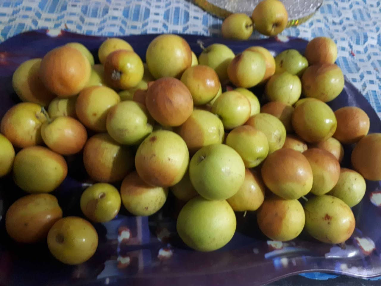 بسم الله الرحمن الرحيم
اللهم صلِّ على محمد وآل محمد
متوفر تطعيم النبگ السدر بجميع الأصناف
✔️ تطعيم غصن
✔️ تطعيم برعم
حسب طلب الزبون وبأفضل طريقة لضمان نجاح التطعيم إن شاء الله.

🚗 العمل متوفر في جميع نواحي وأقضية الناصرية حسب الاتفاق.

📍 الموقع: قضاء النصر

📞 التواصل:
واتساب فقط: ***********
واتساب + رصيد: ***********
حياكم الله وأهلاً وسهلاً بالجميع
