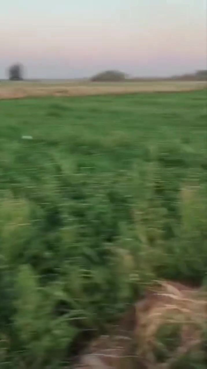 السلام عليكم قطعة أرض زراعيه اصير عليه شارعين  مساحه دونمين بسنجك صناعه جوه قريب عل مشروع صناعه وقريبه من شط تبعد ٢٠٠متر او اكثر للتفاصيل اكثر الاتصال عل رقم #مكلف ب نشر ***********
