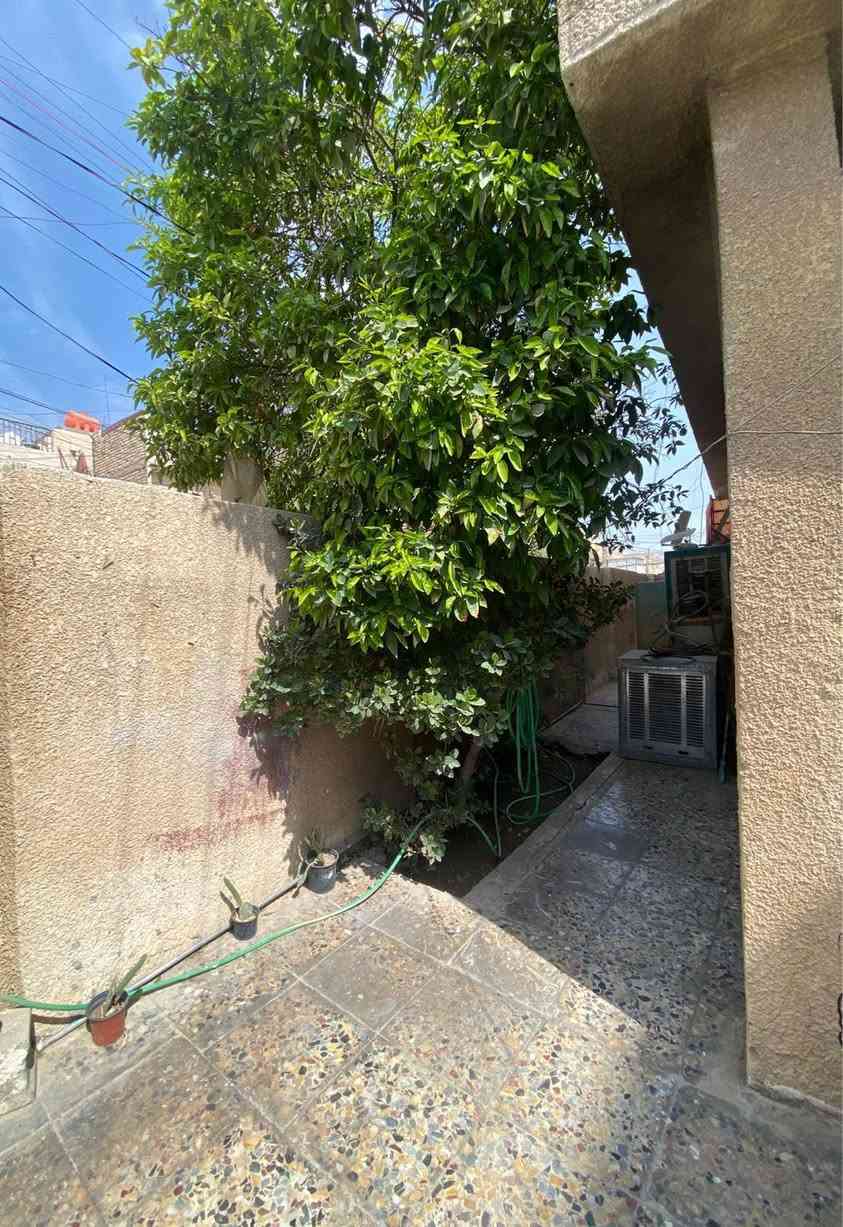 بيت للبيع ٢١٧ متر واجهه ١٠،٨٠ ونزال ٢٠ طابقين ركن كلاسك 
كراج وحديقه مدخلين مطبخ استقبال وهول وحمام وغرفه
طابق ثاني غرفين وصحيات ومطبخ صغير وسطح 
الخدمات ماء مجاري تبليط كهرباء عرض شارع ١٠ متر 
الموقع الغزالية شارع الضغط قرب المستوصف الصحي
للاستفسار 
***********
***********
***********
او زيارة مكتب المشجر للعقار
