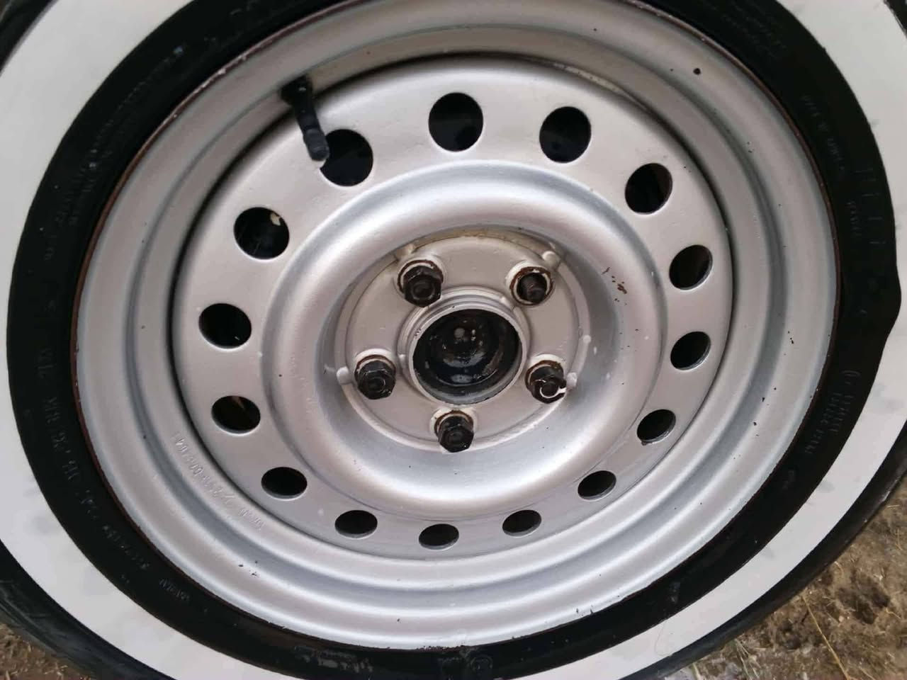 السلام عليكم
عندي تخم ويل عادي اريد مراوس بويل كب ابو النجمة مال 
فتون 17مكاني بغداد ***********
