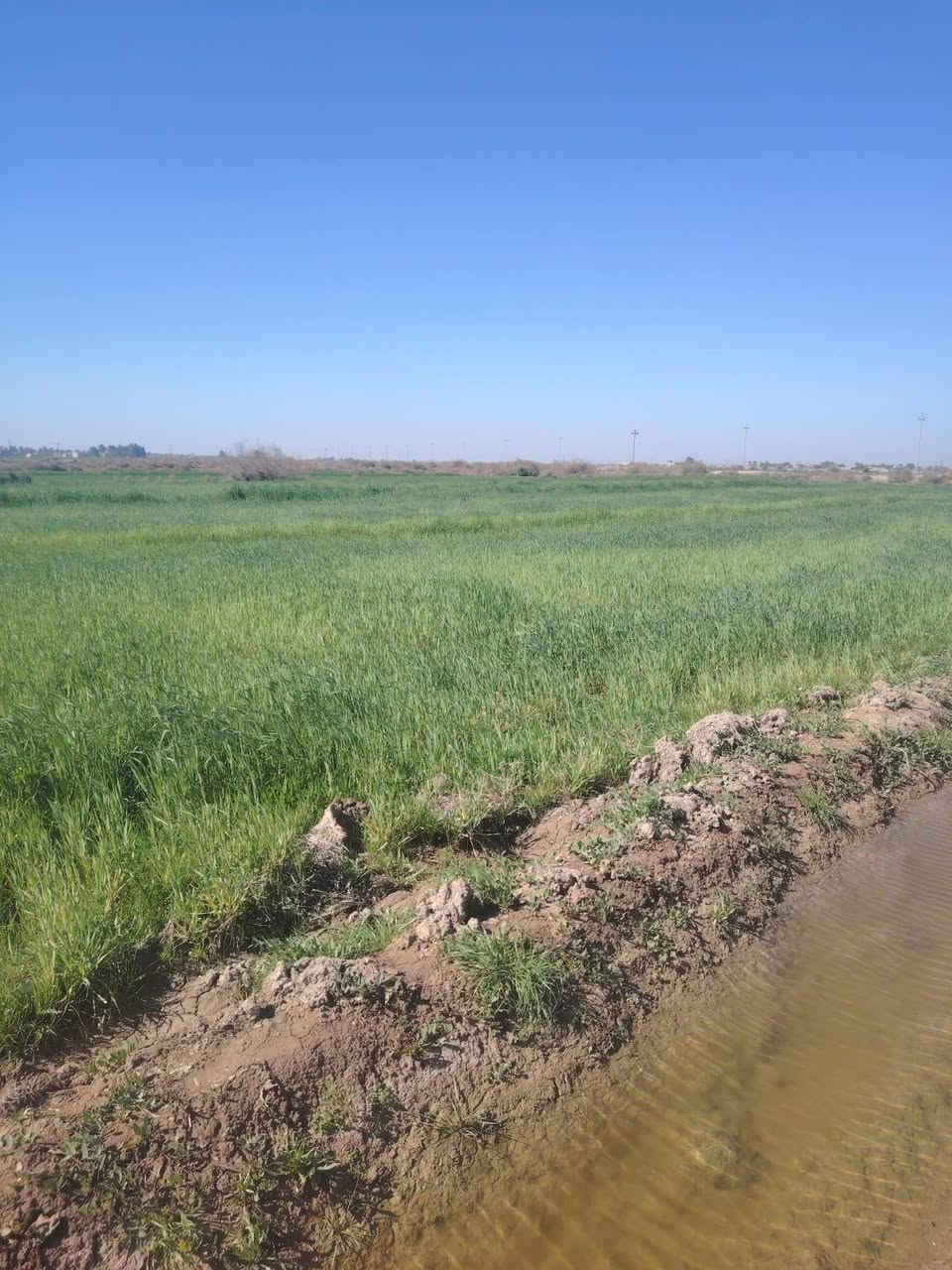 سلام عليكم دغل للبيع لمساحه 25 دونم ماي موجود علا شط خربيط سكي بقطاسات لمكان الناصريه الاتصال ***********
