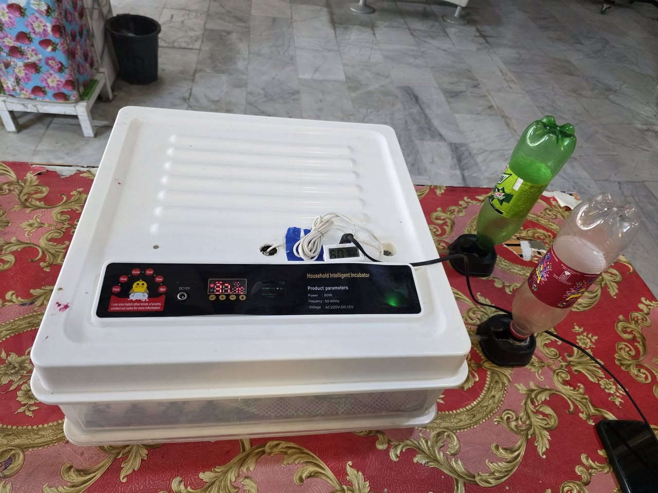 السلام عليكم
يوجد لدينا فقاسه بيض
عنوان /بابل-مركز المدينه
سعر خاص 
الستفسار تصال على الارقام 
***********
***********

