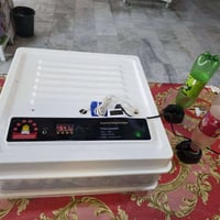 فقاسه بيض • فقاسة • تفقيس بيض • حضانة بيض • الكترونيات منزلية • مستلزم...