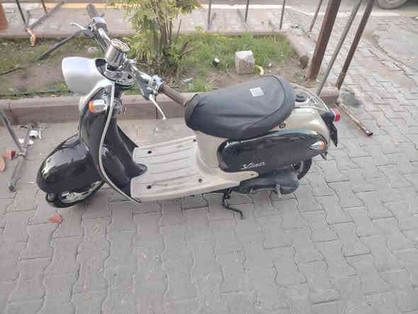 للبيع عبد الحليم نثيا شرط كفاله عاما رمبا مكاني بغداد اصليخ
