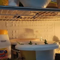 من رخصة الادمن المحترم ، ثلاجه كينوود قياس ٢٨٠٠ مستعمله شي قليل سعر 50...