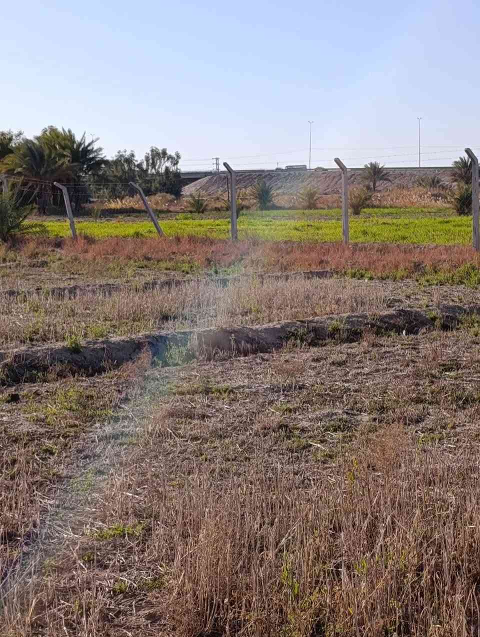 سلام عليكم ٣ دوانم للبيع اشكد تريد دونم او نص دونم او كلهن مخدومات نهر سقي ماء حلو من الفنديه
المكان الفندية قرب جسر تبعد عن شارع ٤٠٠ متر اللاستفسار 
***********  
*********** سند ٢٥ تشتري من المالك
