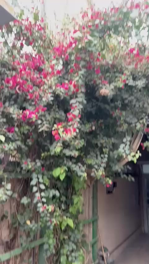 بيت رهن حي المكرمة قرب السوك المسقف 100 متر طابقين البيت نضيف جدا 
الرهن ب 40 سنه وقابل للتجديد
***********
***********
