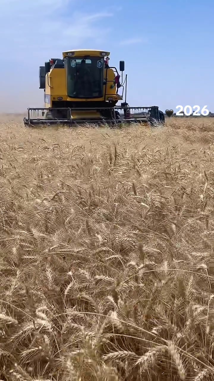 مطلوب لزمة حصاد اي مكان حاصده جديده***********
