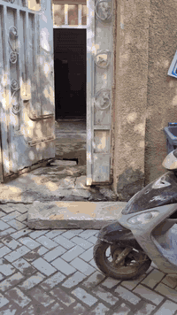 السلام عليكم نصف قطعه شرك للبيع قطاع 42 قريبة على شارع 60 وقريبه على الساحة السعر 105 مليون وقابله للتفاوض *********** هذا رقم صاحب القطعه مكلف بالنشر وغير متواجد بالفيس
