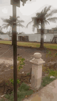 مزرعه لبيع. مساحه.   5. دونم. طابو صرف.   قريبه عل طريق غزه.    نتصال ...