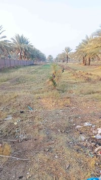 طابو زراعي • ٣ دونم وربع • الحله ابوغرق