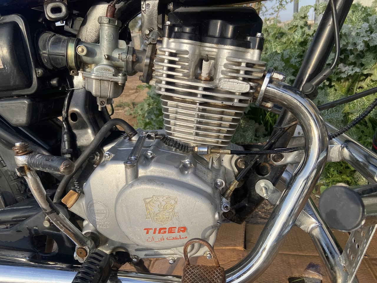 بسم الله ماشاء الله تايكر ٢١ فول الفول نضافة كدامك ١٠٠٪؜  دراجه جديدة وتخبل وصلنصة كاتم ماتسمع الها حس. محركها مامتعوب وناعم وتخبل للشراي فقط الي مايشتري لايدخل خاص ويكولي غالي وهلسوالف كلشي بسعره 
سعر 475 بيه مجال كلش بسيط للشراي اتفضل اتصل على الرقم ***********او انستا موجود ooo2ir
