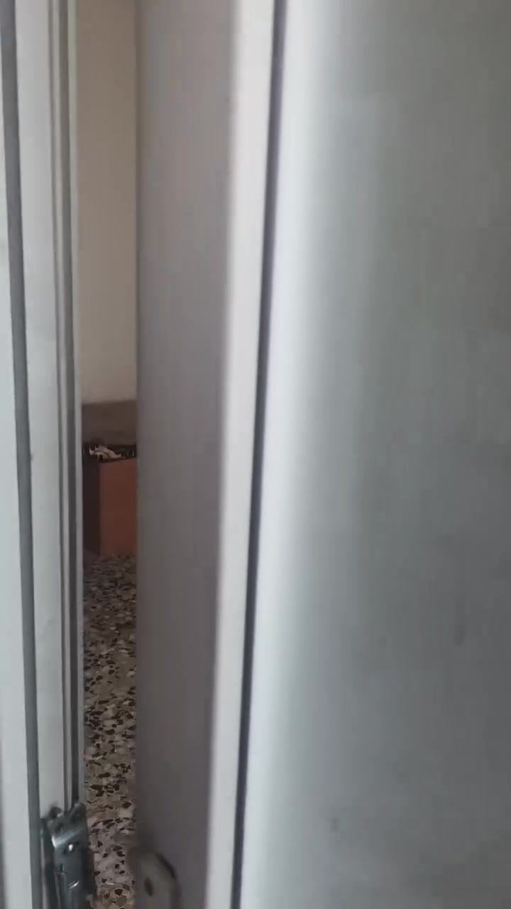 شقه إلى يجار فترت زياره قرب كراج سيد جوده ***********
