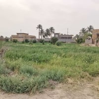 بابل • دونم • طابو زراعي