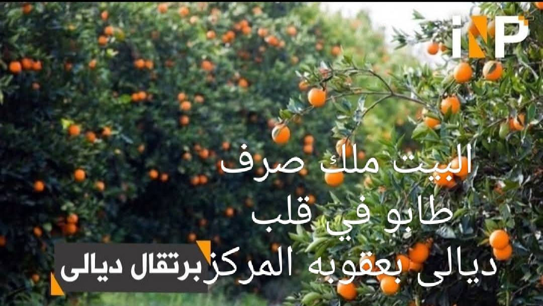 دار للبيع ملك طابو صرف في بعقوبة منطقة السوق خلف اعدادية جمال عبد الناصر 
المساحة ١١١ والواقع ١٢٠
الطابق الأول غرفه نوم واستقبال وصاله وحمامات خارجية وداخليه وكراج و منور
الطابق الثاني ٣غرف نوم صحيات وصاله كبيره البناء ٢٠٢٥ حديث جدا ركن البيت خلصن من كلشي باقي تقفيله والف عافيه على ياخذه
السعر مناسب جدا مكلف بنشر https://www.facebook.com/share/18od5j8HvG/
للاستفسار الاتصال على الرقم 
***********
