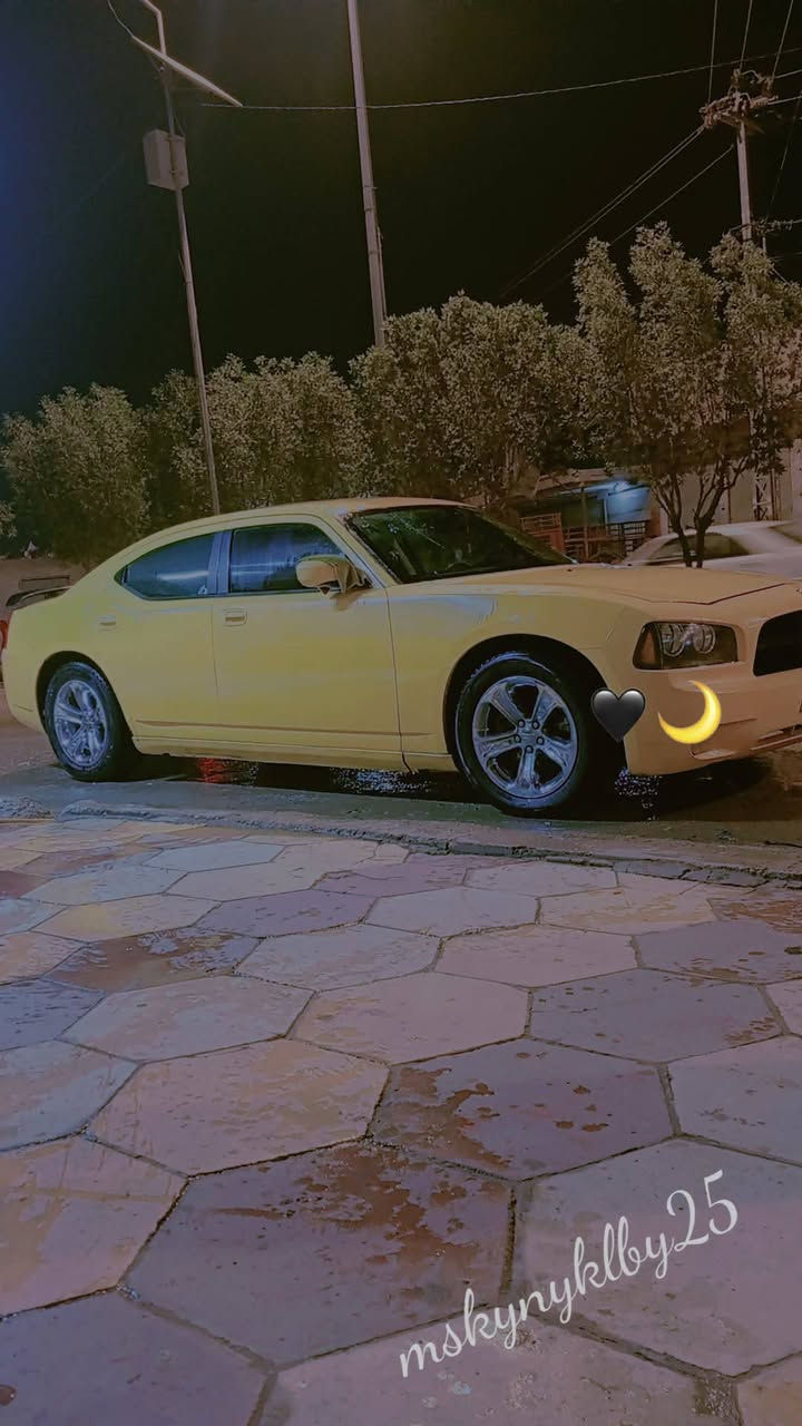 جارجر10 بسمي رقم انبار سنويه 31 كير جديد مكينه بيه تخبير  قليل  تبريد ثلج حداديه قبل سبوع سويته تخم تاير جديد  كهربائيات كله جديده السياره كل نقص مابيه خط وبحث جدد مكان الديوانية قضاء غماس السعر 92 وبيه مجال  للاستفسار ***********
