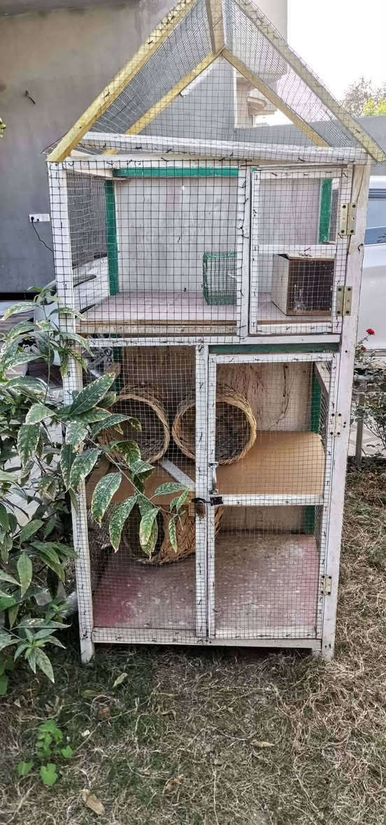 جيد كركوك, العراق


**إذا كنت صاحب هذا الإعلان وتريد حذفه لأي سبب، رجاءا أرسل رسالة إلى الدعم الفني**