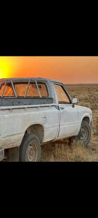 بيكم 80 • صبغ عام • رقم اصفر