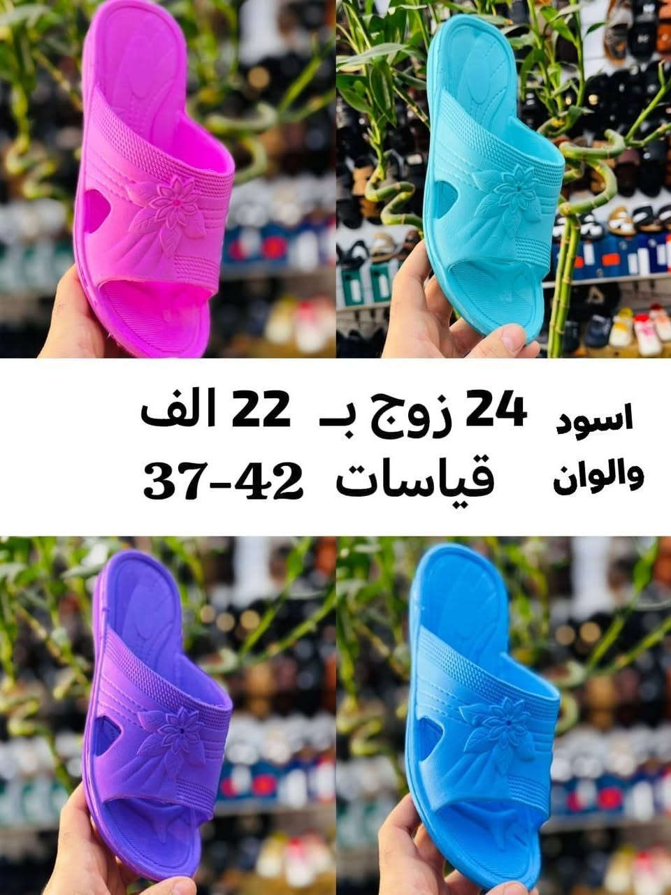 ايــــــفا رجـــالي شبــــابي ولادي واطفال 
نســــــــائي بـــــــناتي 
الاسعــــار والتفاصيـــــل داخـــــل الصـــــور 
#جملـــــــــه_فقـــــــــط اقـــــل طلـــــــب كــــارتون 
توصيـــــل بغــــداد 5 الاف... محافـــــظات 6 الاف

واتســـــــاب الحجــــز والتــــواصل: 
***********
