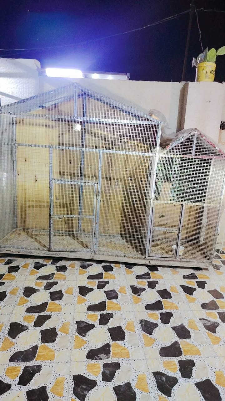 البيع


**إذا كنت صاحب هذا الإعلان وتريد حذفه لأي سبب، رجاءا أرسل رسالة إلى الدعم الفني**