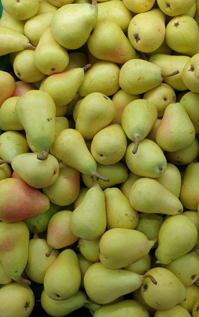 يتوفر لدينا اجود انواع فاكهة الحمضيات والنفضيات.
جميع الشتلات مطعم ومكفول واحجام مختلفه او اكثر.
ملائمة أجوائنا ذو إنتاج وفير. بيع جمله ومفرد.
للحجز والاستفسار الاتصال على الرقم *********** جاسم الخليفاوي العنوان الخالديه شارع العام مقابل بلديه الخالديه
