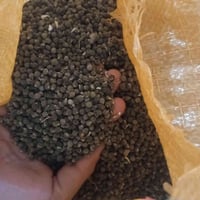 بذور بانيه • درجه اولى • كيلو