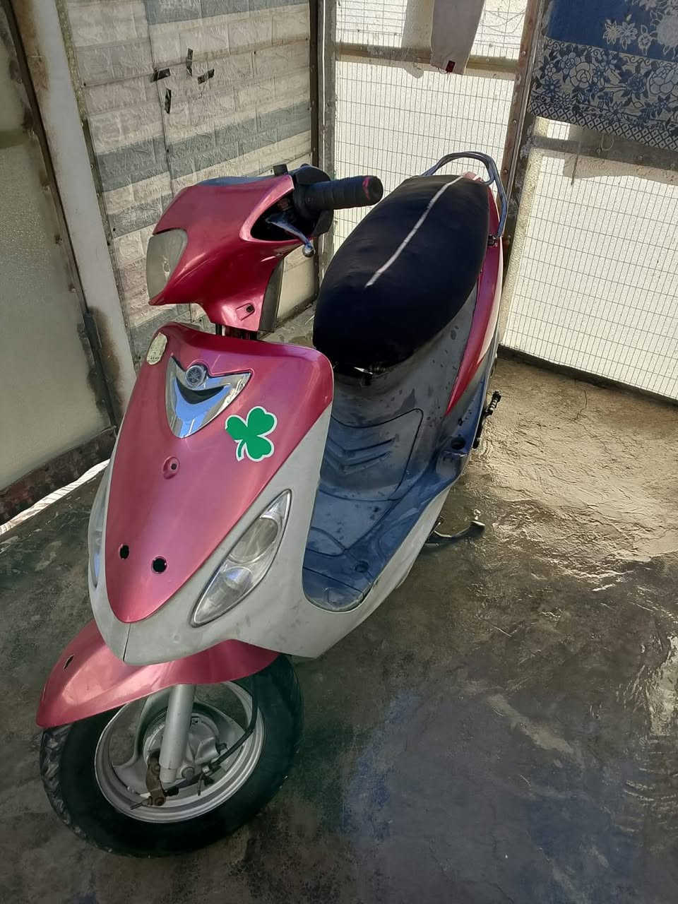 ماكس منغولي للبيع تاخذها كوم حديد فجأ كامت تمشي عله كيف ماعرف شبيها واني محتاج ودابيع عل مستعجل السعر 200


**إذا كنت صاحب هذا الإعلان وتريد حذفه لأي سبب، رجاءا أرسل رسالة إلى الدعم الفني**