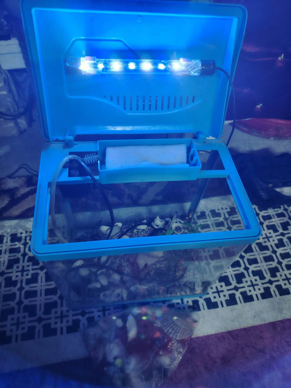 للبيع حوض سمج اخو جديد ستخدام شهر اقل كامل ماطور نشره والحصو بداخله بس سمج عليكم 😁حجمه مو جبير صغير قيمو وخذو العنوان بغداد مدينة الصدر ماعندي توصيل ملاحظه شراي خاص


**إذا كنت صاحب هذا الإعلان وتريد حذفه لأي سبب، رجاءا أرسل رسالة إلى الدعم الفني**