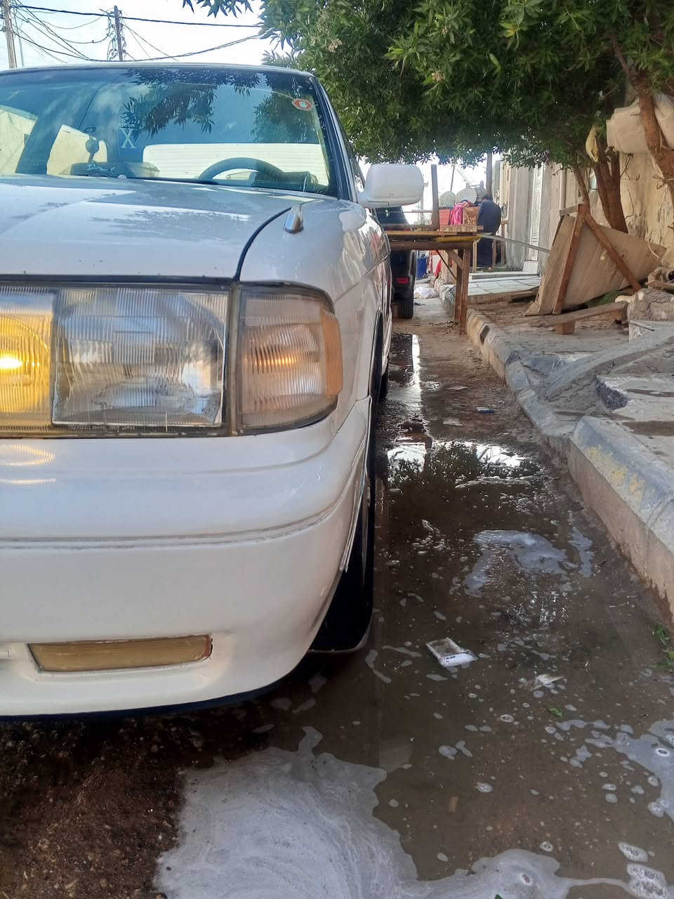 سلام عليكم ارنب للبيع نضافه كدام عينك رقم بغداد سنويه ال2030مكفوله من الضربه صبغ تكحيل بصيط مكينه 3000لا تبغر لا تنقيص كفاله بسمي مشروط وطني حداديه كارتوان تخم تاير ناصرية مركز سعر المطلوب 65.      شراي تصل ***********
