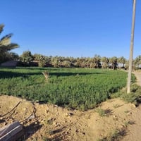 منطقة الحجر • ٣٦٢٥م • واجهة ١٢٠م