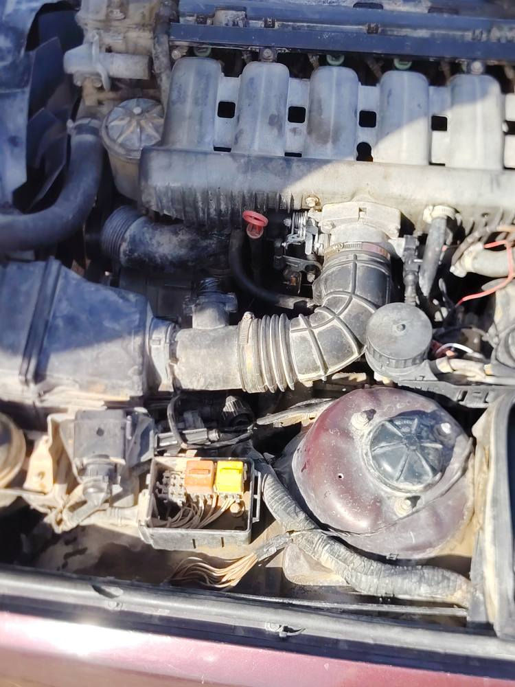 Bmw 525 مسكر فانوس موديل 1994 رقم اربيل بأسمي سنوية جديدة 
السيارة وارد ياباني تبريد وي السويج مكينة وكير نشطات وخير من الله ترايك للاخير 260 السيارة بيها البنيد شويه بداية جراد يعني بوليش يروح بس السيارة ما فارغلها اني السعر 65 وبيها مجال مكان السيارة الديوانية المركز  
*********** ديوانية, القادسية
