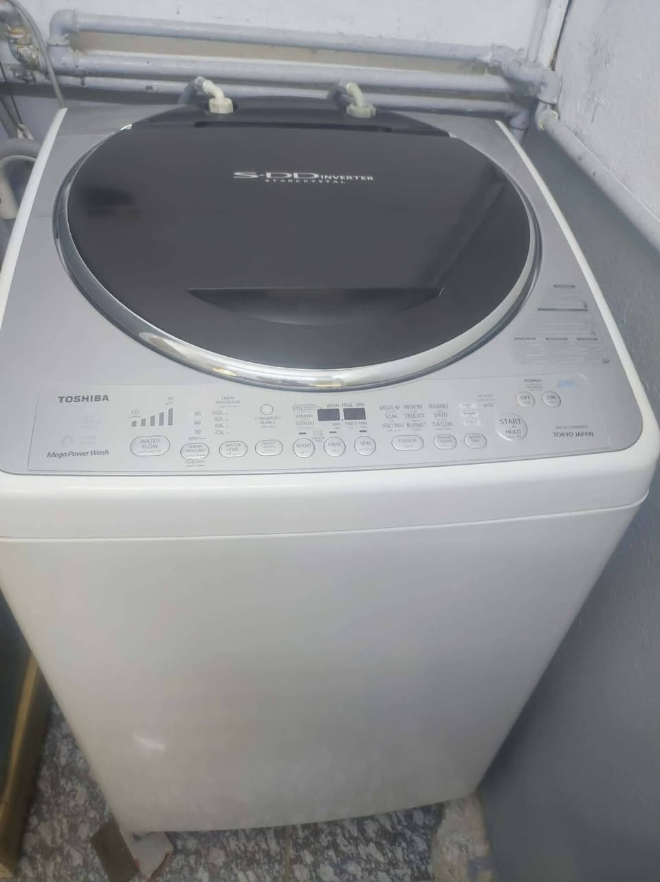 غساله وضع شركه وزن 14 للبيع


**إذا كنت صاحب هذا الإعلان وتريد حذفه لأي سبب، رجاءا أرسل رسالة إلى الدعم الفني**