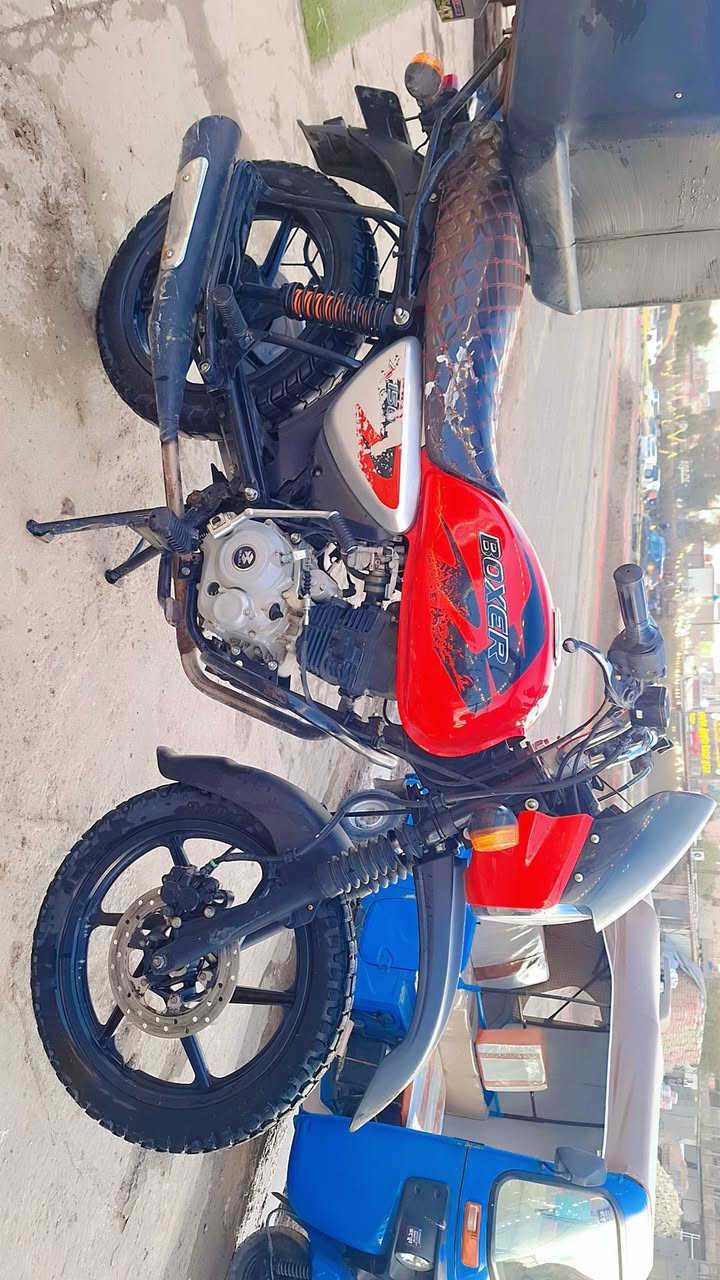 السلام عليكم بوكسر للبيع ***********
