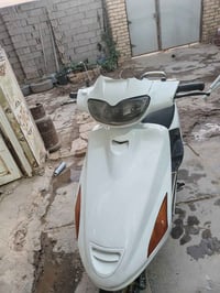 فراشة فحل • ابيض • سلف