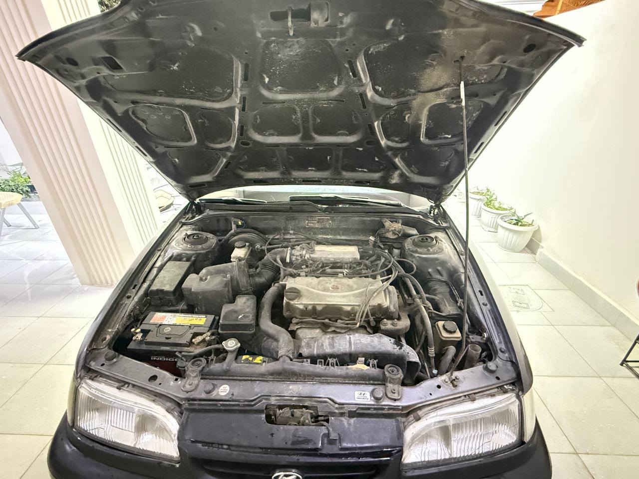 جاهزه للصبغ  بدون ضربه رقم بغداد الماني سنويه لل27 تحويل مباشر بااسم المشتري

صدر خلفي وامامي جديد 100% بطاريه جديد

تايرات جديد  مكينه وگير بالجيس بمعنى الكلمه جدد  شواصي والغود  مكفولات من كل. شي شاشه كامره سنتر لوك ريمود
اربع ابوب وصندوق گير عادي المرغوب مكينه 2000 مفتوح  كهربائيات عله وضعيت الشركه 4 جام كهرباء  بدون اي نقص  خياساتها معمره وجاهزه للصبغ السعر 42 وبيه مجال  مكان بعقوبه التحرير ***********
