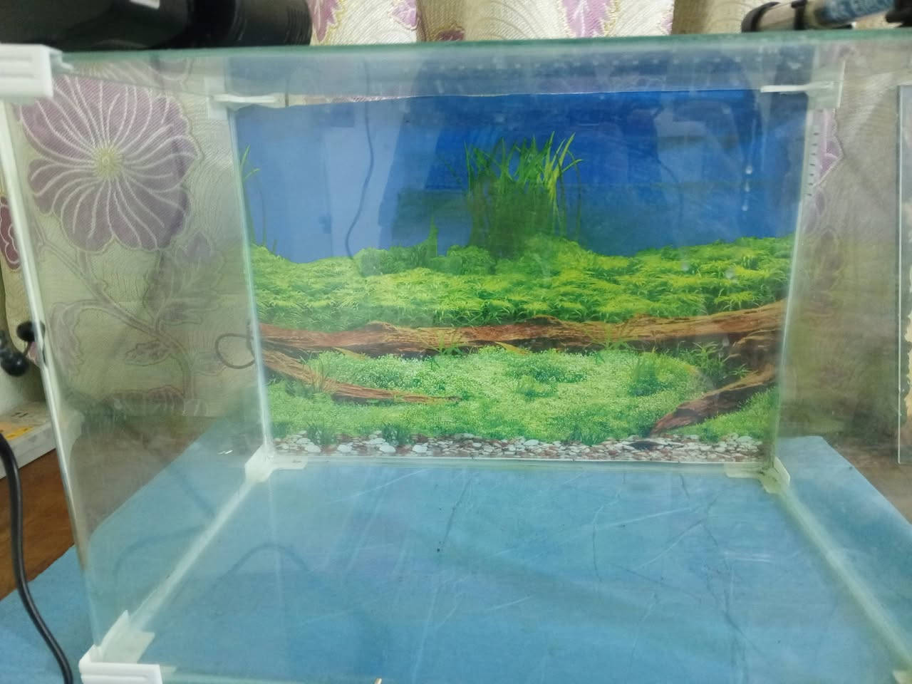 سلام عليكم يوجد حوض سماك مع هيتر ماطور للبيع
لسعر 65الف 
رقم ***********
عنوان ميسان عمارات جديدة
