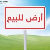 طريق ديوانيه نجف • ١٢٣ دونم • طابو زراعي سند ٢٥