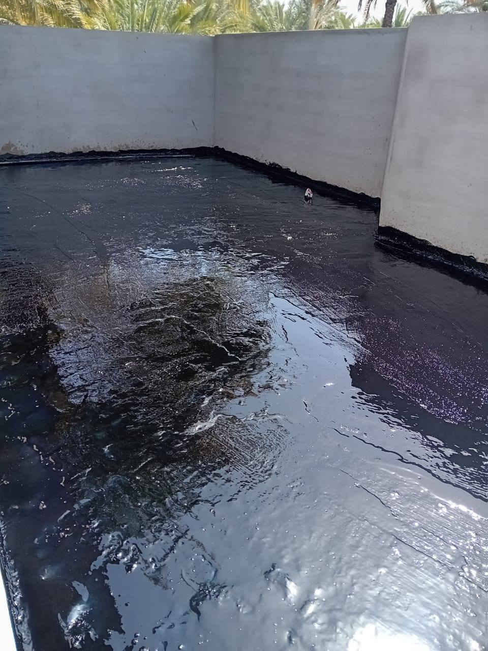 تعلن سكلة  المنكوشي لبيع الجير في كربلاء في اسعار مناسبه الاستفسار الارقام الهاتفيه /***********×××***********
