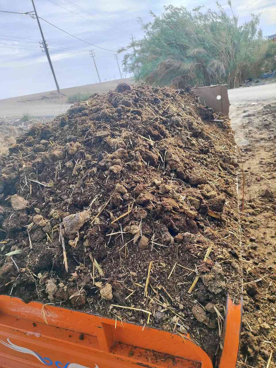 سلام عليكم يتوفر سماد حيواني نظيف ولابي ملح ولا شي سمادة تخبل افظل من بتموس  ملاحظه سماد مال جاموس وابقار مو مال مقالع ودبون يشبه بتموس وسعر ستوته حسب مكان  هيج حمال وهيج نظافة سماده براسها ستين حظ التواصل ***********
ملاحظة ❓ سماد انه اشتري من حيادر من اهل الحلال واجيبة الك للمكان تريده
