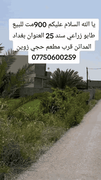 المدائن بغداد • ٩٠٠م • طابو زراعي