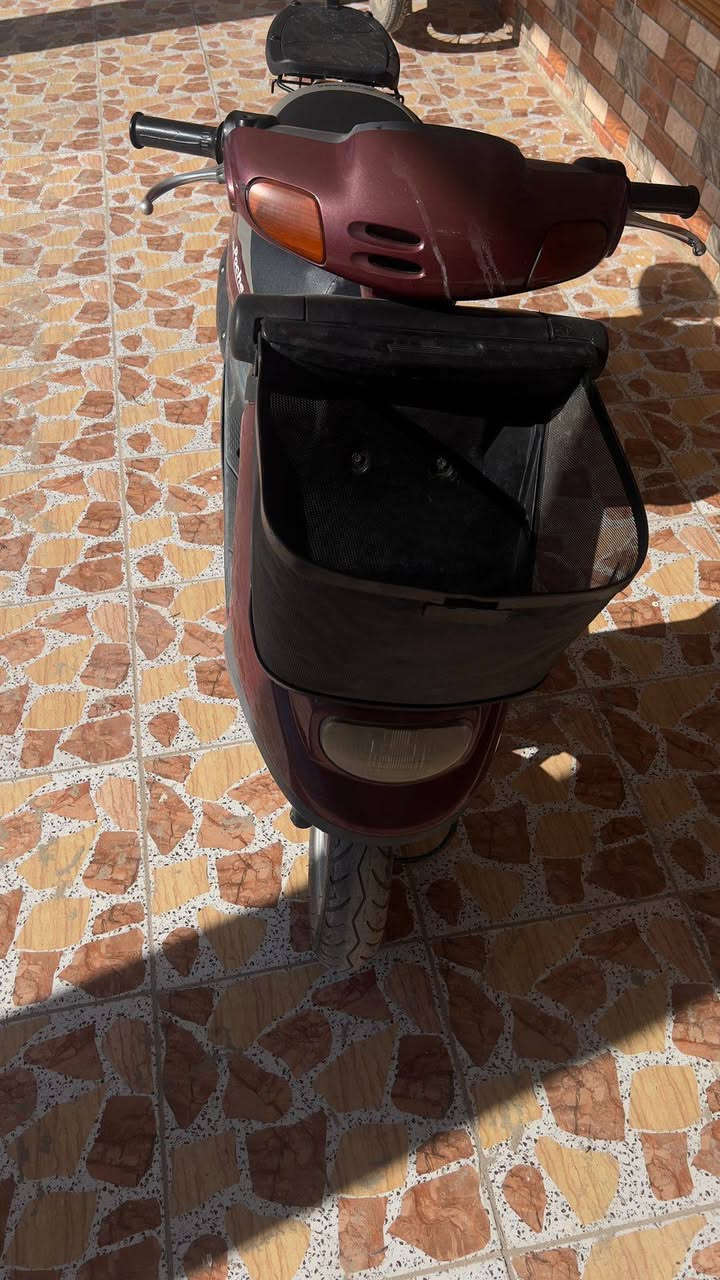 سلام عليكم دراجه منغولي للبيع دراجه نضيفه مابيها اي نقص مكاني كربلاء الحسينيه هاذه  ‏رقمي  ‪0781 004 1541‬‏
